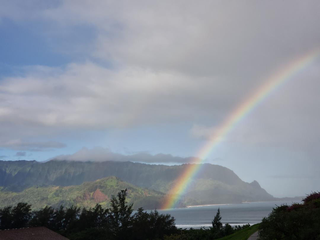 Carol Oster: Hawaii